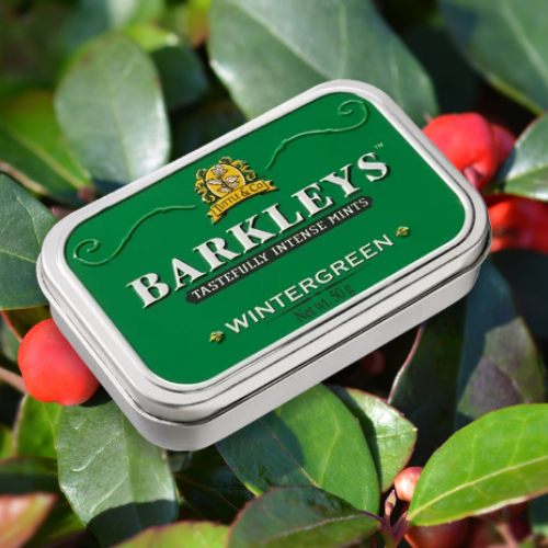 Barkleys Classic Mints Wintergreen Flavour surrounded by Wintergreen berries and leaves