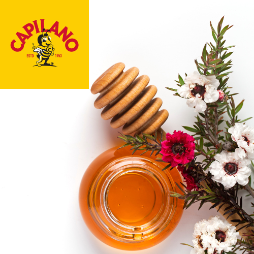Capilano Australian Certified Manuka Honey MGO 30+