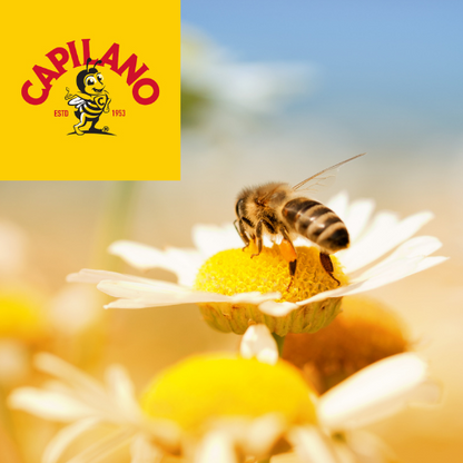 Capilano Natural Australian Honey